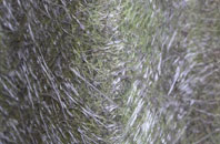 Catcomb fibreglass roof work